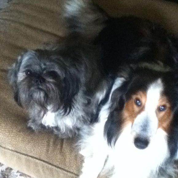 👩🏻‍⚖️🪧💼🎥 Schedule 📝 Shows Every 🗓️Firday⏱️7PM EST Like 👍 for shows all🤗 - Picture 4 of 6